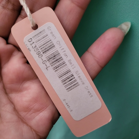 Pinkblush Bell Sleeves Dress - Picture 6 of 7